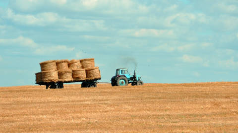 Farm & Agriculture